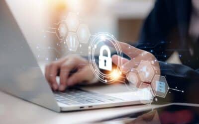 Data Storage Vaults vs. Data Security Software